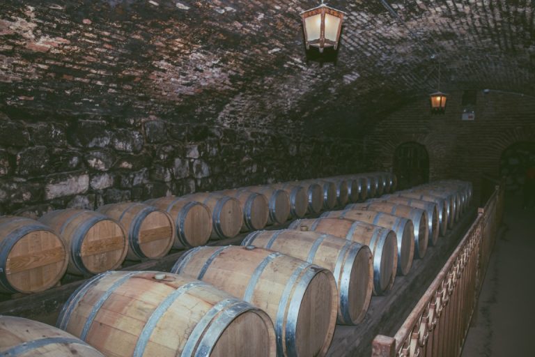 Explora Las Mejores Bodegas De España | Enovinos