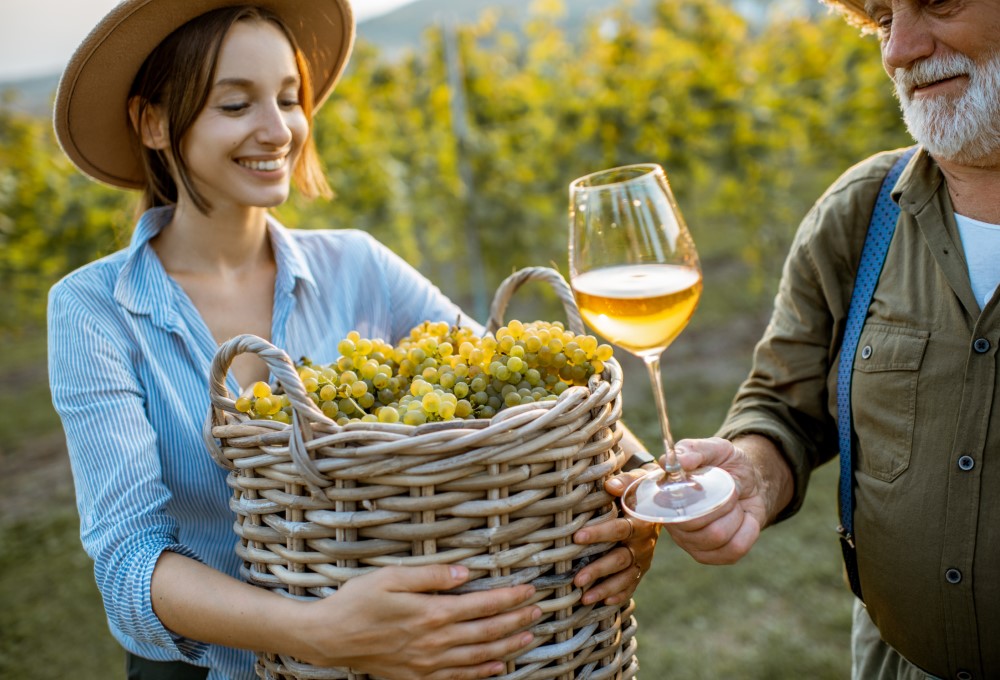 Guía básica de cata de vinos: cómo apreciar sus aromas y sabores