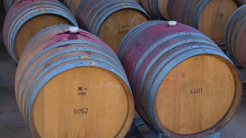 La historia del vino: desde sus orígenes hasta la actualidad