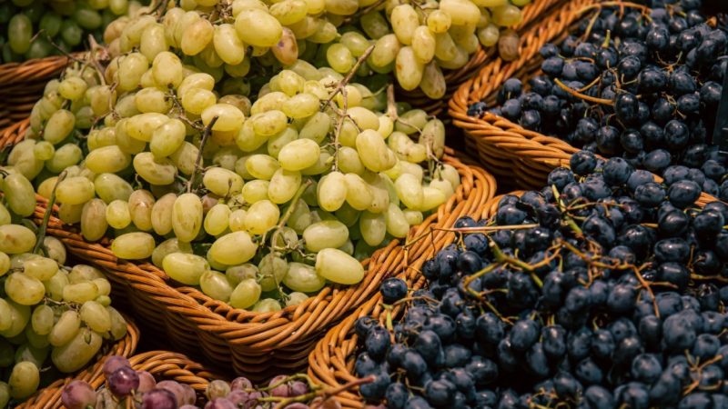 Tipos de Uvas para Vinos
